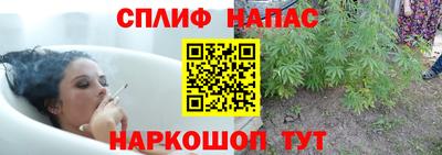гидропоника Шебекино